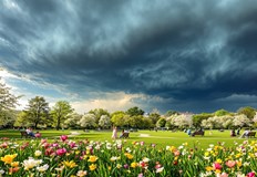 България се радва на пролетни температури преди студен фронтДнес България