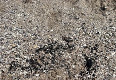 РИОСВ Бургас отстрани замърсяването общината успокоява гражданитеНа 4 май 2025 година