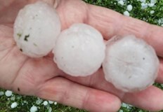 Природната стихия е унищожила насажденията в региона за няколко минутиЕдра