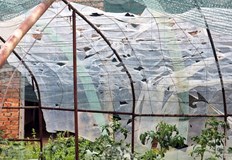 Сняг вали на Витоша и в планините температурите падат до