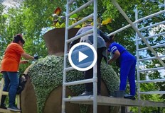 Символът на Русе ще грейне в червено зелено и жълто