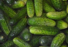 Въпреки санкциите 83 от краставиците внесени в Полша идват от