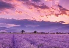 Ребрандирането е част от стратегия за модерно представяне на страната