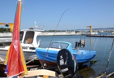 Огнеборците ликвидираха пламъците с два противопожарни автомобилаМъж на 65 години