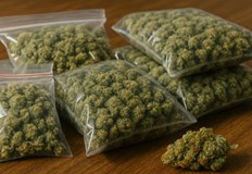 Наркотиците са иззети от домовете на двама младежиКриминалисти от ОДМВР