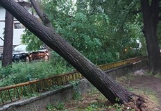 Пороен дъжд вятър и градушка преминаха през регионаГръмотевична буря с