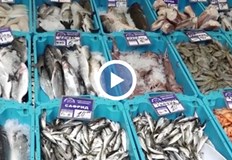 Глобата за неправилно ценообразуване стига 7000 леваТърговците на дребно и