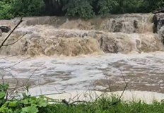 Пътят до паметника на Сопотския революционен комитет е непроходимРека Батънска