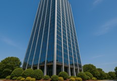 Храсти и малкото тегло са спасили живота на момчето в