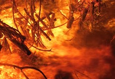 РДПБЗН – Русе реагира на два сигнала през почивните дниПрез