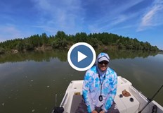 Тео показа улов на распери и призова за спешно третиране