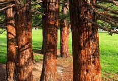 Отворено е и трасето за велосипедиститеВитоша официално отваря летния си