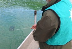 Инспекторите съставиха девет акта за нощен риболов и санкционираха нарушители