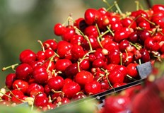 На фона на рекордните 50 60 лева в страната столичният пазар