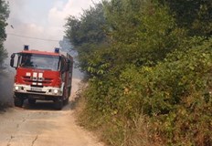 Дим от третиране против комари подвел жители които подали сигнал