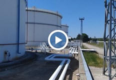 От началото на миналата година са раздадени близо 250 хиляди