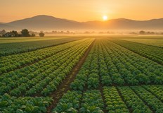 Отпада изискването за документи за поливни площи пълномощниците вече ще