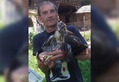 Според граждански сигнал мъжът организира и боеве с кучетаЛице представящо