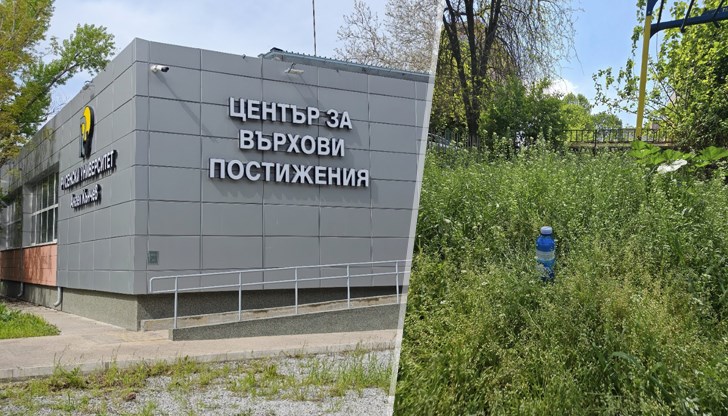 Граждани алармират за опасна растителност около Русенския университет