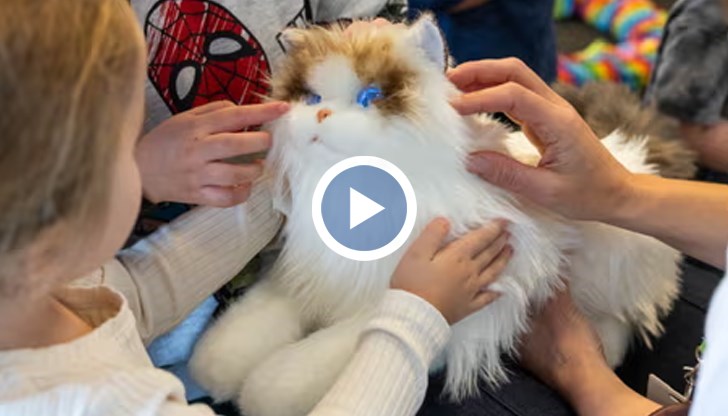 Електронните домашни любимци със светещи очи и изкуствен пулс имат терапевтичен ефект върху деца и възрастни