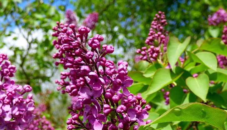 Неделя идва с летни жеги и гръмотевични бури в планините Неделя идва с летни жеги и гръмотевични бури в планините