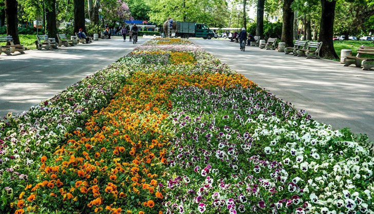 На всички именици – честито! На всички именици – честито!