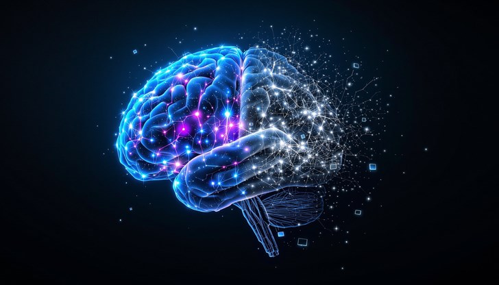 Мозъкът на съвременния човек старее по-бързо от този на предците ни Мозъкът на съвременния човек старее по-бързо от този на предците ни