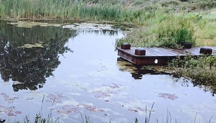 Рибарникът се превръща в езеро с водни лилии и понтони за наблюдение