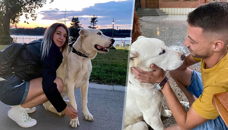 Инцидентът е станал на Деня на българската просвета и култура