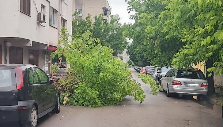Екипи на пожарната оказаха съдействие и при наводнение в Кошарна