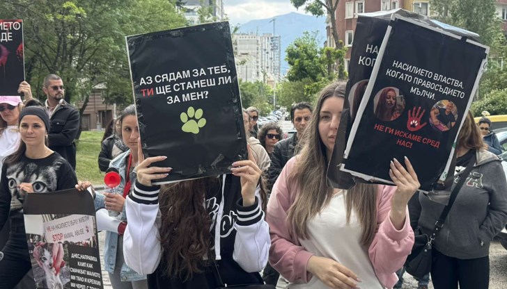 Демонстранти критикуват институциите за бездействие при сигнали за жестокост