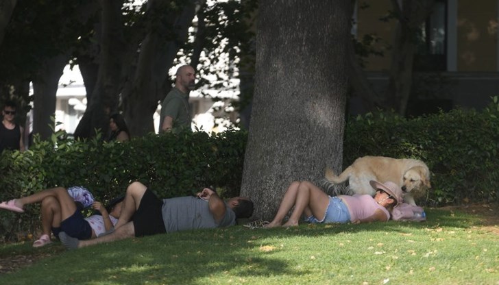 Температурите достигат 40 градуса