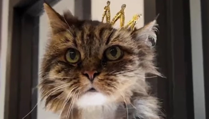 Трагедията отне живота на двамата й собственици в националния парк Брайс Каньон в САЩ