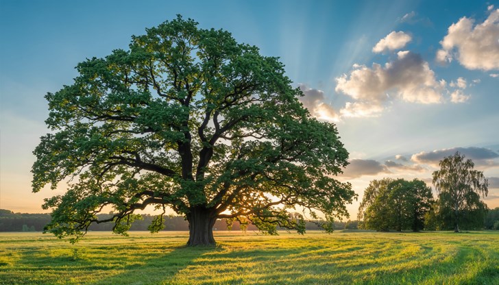 В неделя температурите в региона ще достигнат 27-30 градуса, възможни са изолирани следобедни валежи