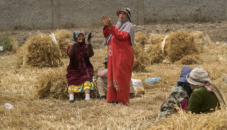 Фермери празнуват сезона на жътвата в делтата на Нил Фермери празнуват сезона на жътвата в делтата на Нил
