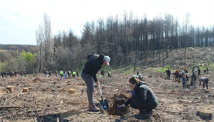 Светослав Димитров, който пострада тежко при гасенето на пожара миналото лято, дари посадъчния материал