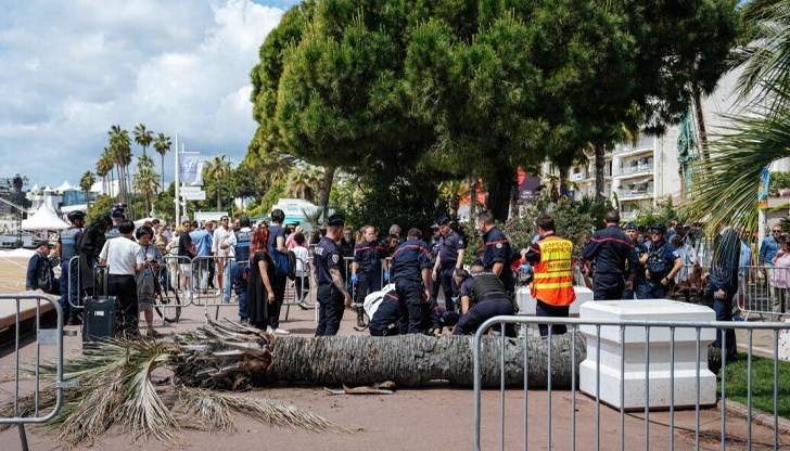 Мъжът е със сериозни наранявания на гръбнака и носа Мъжът е със сериозни наранявания на гръбнака и носа
