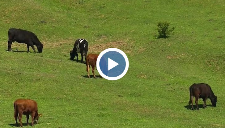 Фермери от няколко села са категорични, че ще търсят правата си