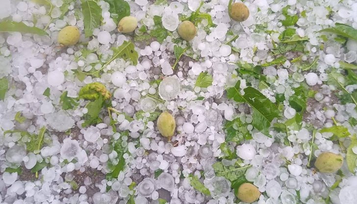 Градозащитата ще покрие региони без ракетни площадки през активния сезон