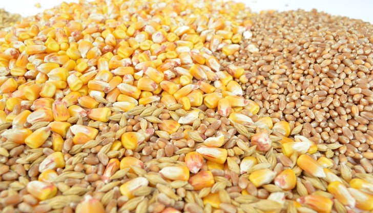 Причината са рекордните реколти Причината са рекордните реколти