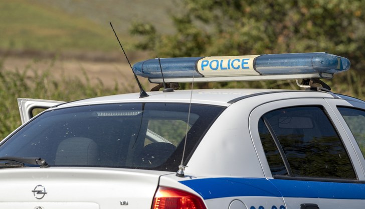 Работник е намерил умъртвеното животно на поляна край селото