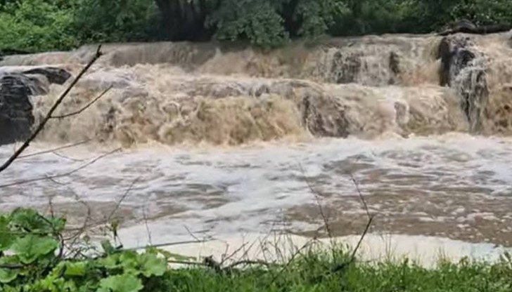 Пътят до паметника на Сопотския революционен комитет е непроходим
