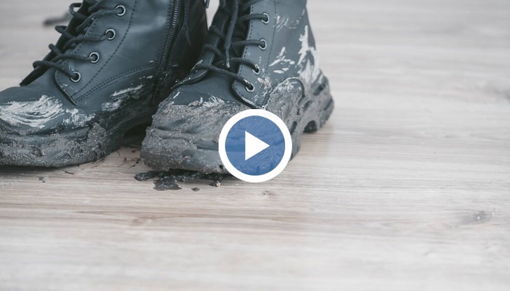 Най-често срещаната бактерия в пробите е ешерихия коли