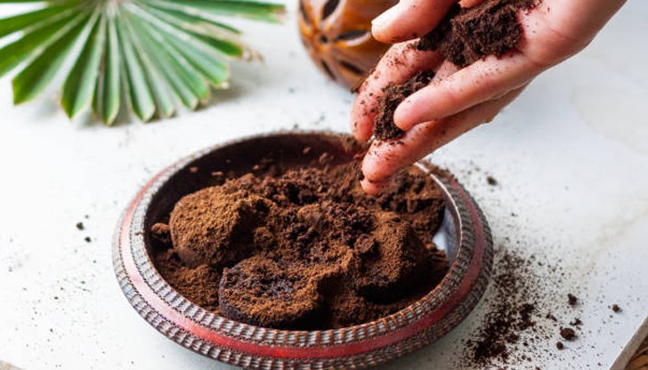 Съвети от експерти по градинарство