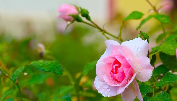 Температурите достигат до 23 градуса, на места в планините са възможни краткотрайни превалявания