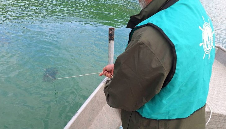 Инспекторите съставиха девет акта за нощен риболов и санкционираха нарушители на язовир "Николово"