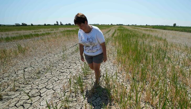 Юни ще остане по-умерен, преди да настъпят големите летни жегиПоследната
