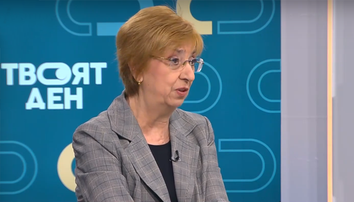 Експертът подчерта, че в мотивите на президента липсват юридически аргументиРеферендум