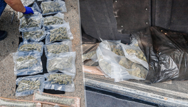 Стойността на иззетата марихуана е над 19 000 леваКриминалисти от