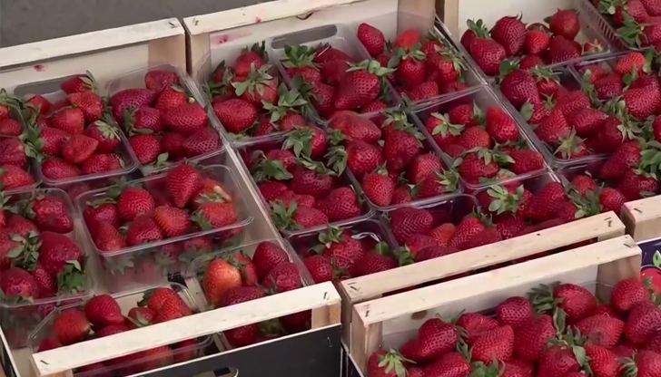 Илия Гатев: Пролетната салата ще ни излезе по-скъпо с около